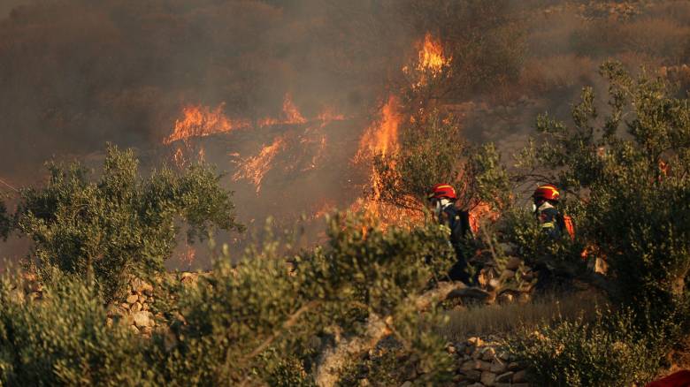 Οι ισχυροί άνεμοι φουντώνουν την φωτιά στην Ιεράπετρα - Κάηκαν σπίτια, επιχειρήσεις, καλλιέργειες