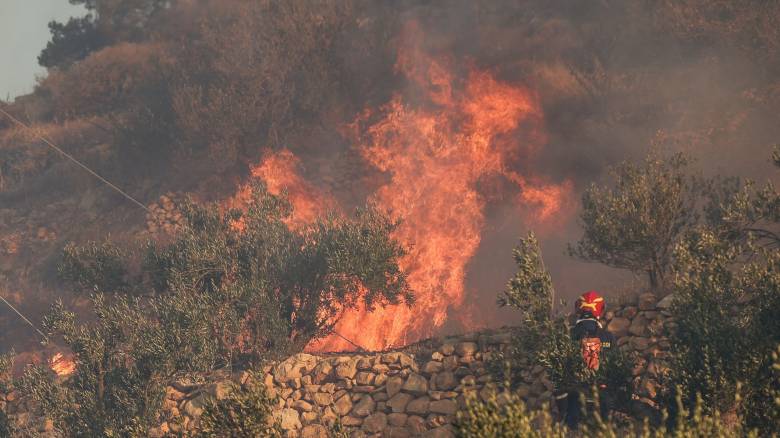 Φωτιά στην Ιεράπετρα: Tαυτόχρονες αναζωπυρώσεις σε Φέρμα και Αχλιά - Τεράστιες οι ζημιές