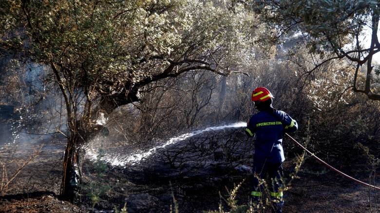 Πυρκαγιά σε δασική έκταση στην Αγρελιά Τρικάλων