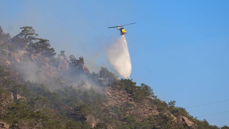 Φωτιά στο Πευκοδάσος του Κιλκίς: Σηκώθηκε ελικόπτερο