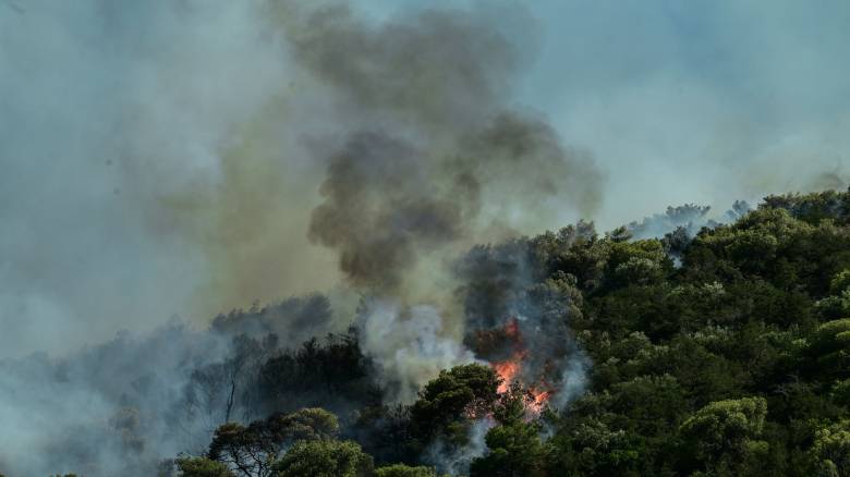 Συνελήφθη 52χρονος για την πυρκαγιά στα Μεσοχώρια Ευβοίας