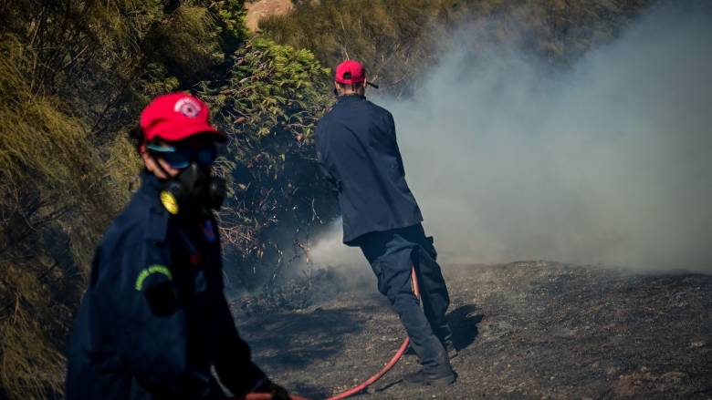 Υπό μερικό έλεγχο η φωτιά στην περιοχή Χωριστή Δράμας
