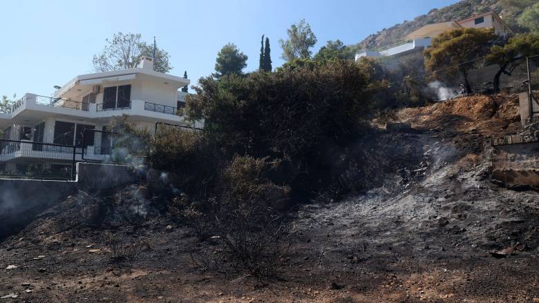 Αυτοψία Κατσαφάδου σε καμένες εκτάσεις της Ανατολικής Αττικής - Στην Ιεράπετρα τη Δευτέρα