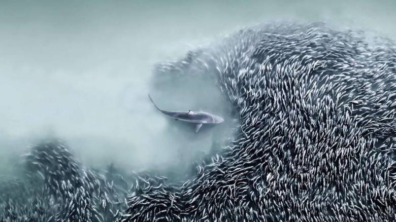 Οι πιο εντυπωσιακές αεροφωτογραφίες του πλανήτη σε έναν νέο διαγωνισμό