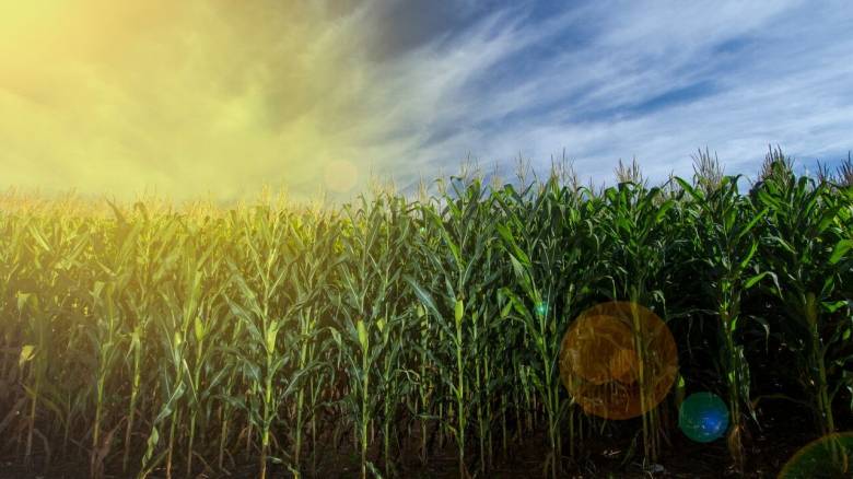 ΔΕΠΑ Εμπορίας: Ένας σύγχρονος καθετοποιημένος ενεργειακός όμιλος