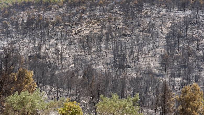 Ο Ωρωπός μετράει τις πληγές του - Αυτοψία του CNN Greece