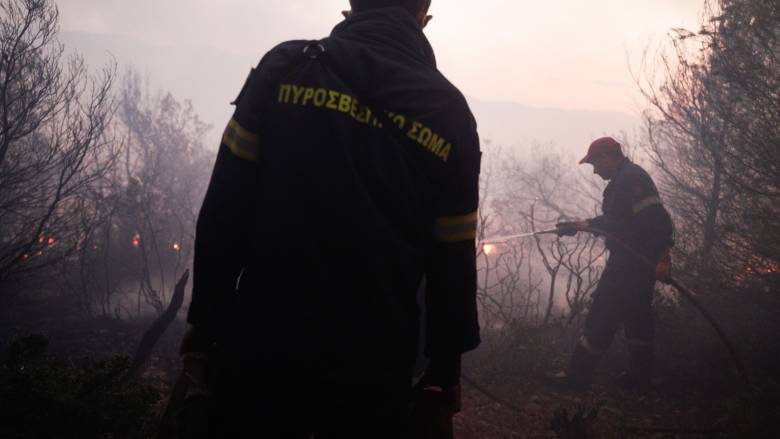 Οριοθετήθηκε η φωτιά στο Παρανέστι Δράμας