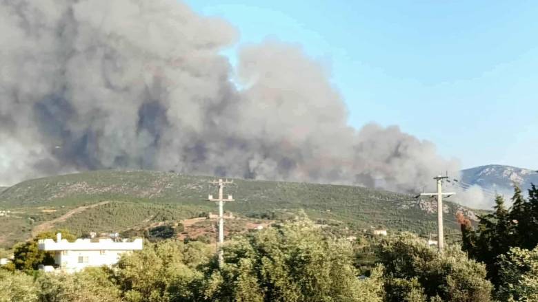 «Ικανοποιητική η διαχείριση της πυρκαγιάς στον Ωρωπό», εκτιμά η κυβέρνηση