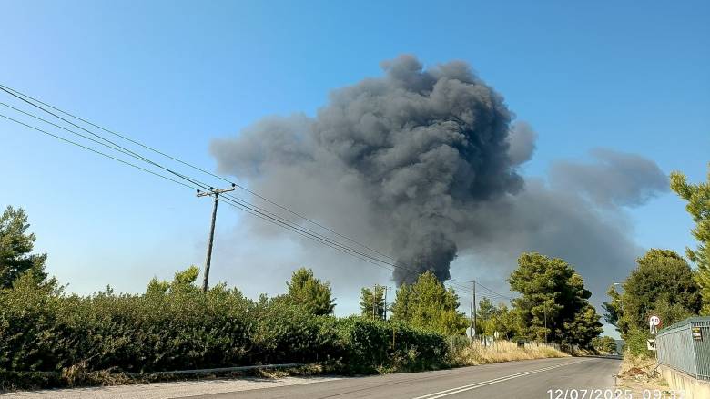 Βίντεο από τη μεγάλη πυρκαγιά σε εργοστάσιο πλαστικών στη Ριτσώνα - Μαύροι καπνοί στον ουρανό
