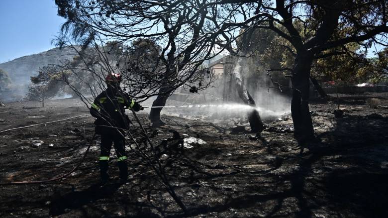 Υπό έλεγχο οι δύο φωτιές στη Μυτιλήνη σε Καλλονή και Άγιο Ιγνάτιο
