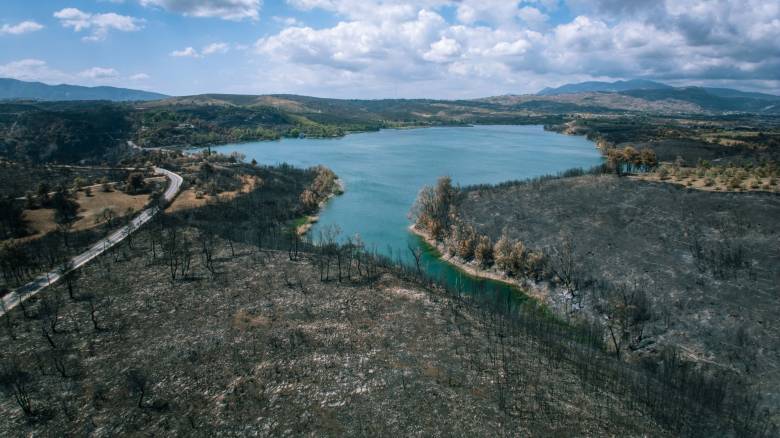 Έως και 10 βαθμούς υψηλότερη η θερμοκρασία μετά τις φωτιές του 2024 στη βορειοανατολική Αττική