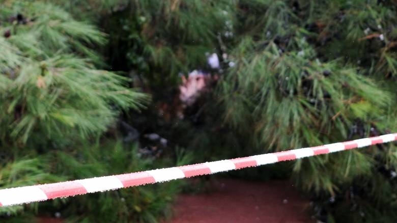 Δύο γυναίκες τραυματίστηκαν από πτώση δένδρων στο Κορδελιό Θεσσαλονίκης