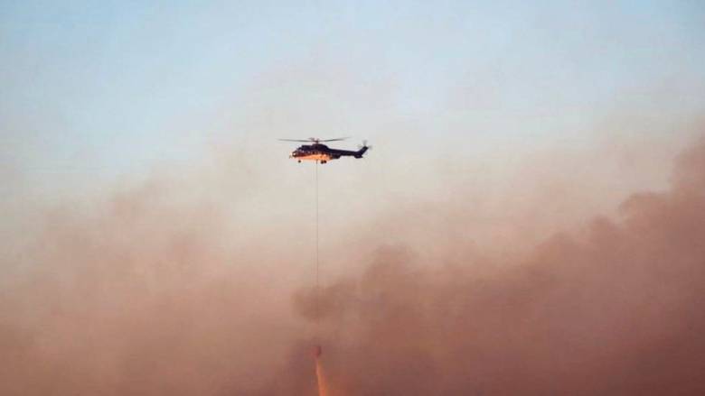 Φωτιά σε χαμηλή βλάστηση στη Βοιωτία - Σηκώθηκαν εναέρια μέσα