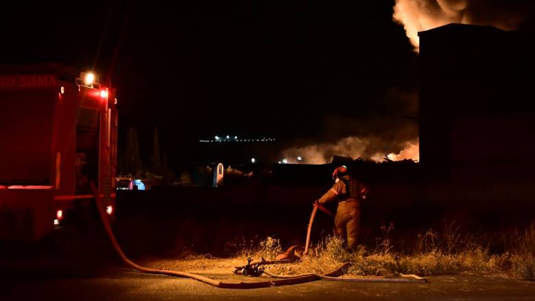 Φωτιά σε κτηνοτροφική μονάδα στο Κιλκίς: Κάηκαν ζώα, κινδύνευσε σχολικό κτήριο