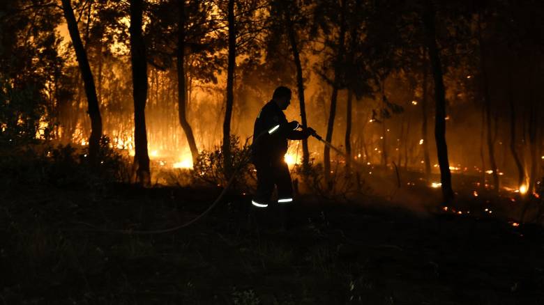 Φωτιά στην Αμαλιάδα: Οριοθετήθηκε το πιο επικίνδυνο μέτωπο στο Γεράκι - Μάχη με διάσπαρτες εστίες