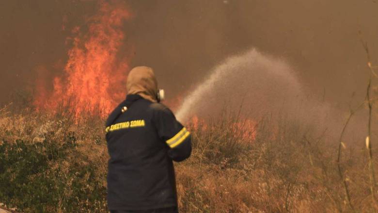 Φωτιά σε δασική έκταση στην Καστοριά στην περιοχή Μακροχώρι