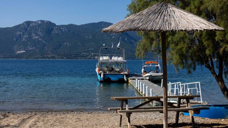 Χαλκιδική: Βρέθηκε οστό στην περιοχή των Νέων Μουδανιών - Εξετάζεται αν ανήκει σε άνθρωπο