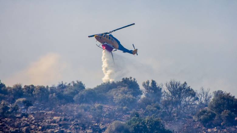 Φωτιά στο Γεράκι Αμαλιάδας: Ενισχύθηκαν οι δυνάμεις - Καίει αναγεννημένο δάσος