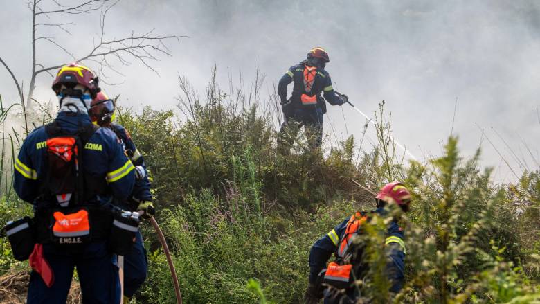 Φωτιά ξέσπασε σε δασική έκταση στην Καρδίτσα - Επιχειρούν δυνάμεις της Πυροσβεστικής