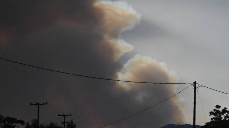 Δύο προσαγωγές για τη φωτιά στην Κορινθία - Σε εξέλιξη οι έρευνες