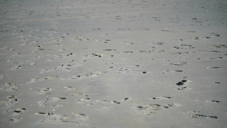 Αρχαιολόγοι εντόπισαν πατημασιές 115.000 ετών... εκεί που δεν το περίμεναν