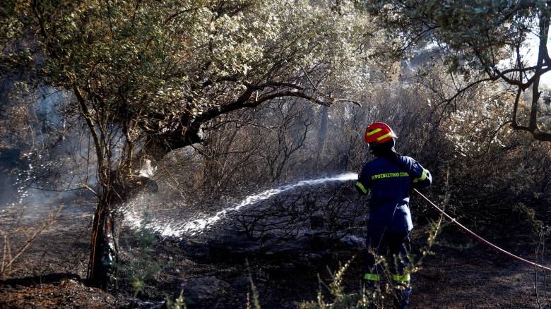 Φωτιά στον Φενεό Κορινθίας: Δίωξη για κακούργημα με ενδεχόμενο δόλο στους δύο συλληφθέντες