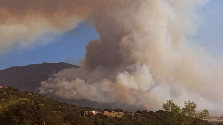 Μικρές εστίες στη φωτιά στον Φενεό - Παραμένουν σε επιφυλακή οι πυροσβεστικές δυνάμεις