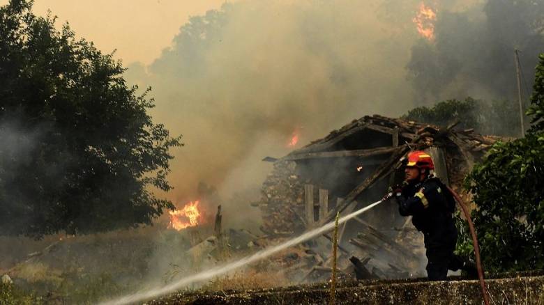 Αρκαδία: Φωτιά στο Ρούτσι Μεγαλόπολης