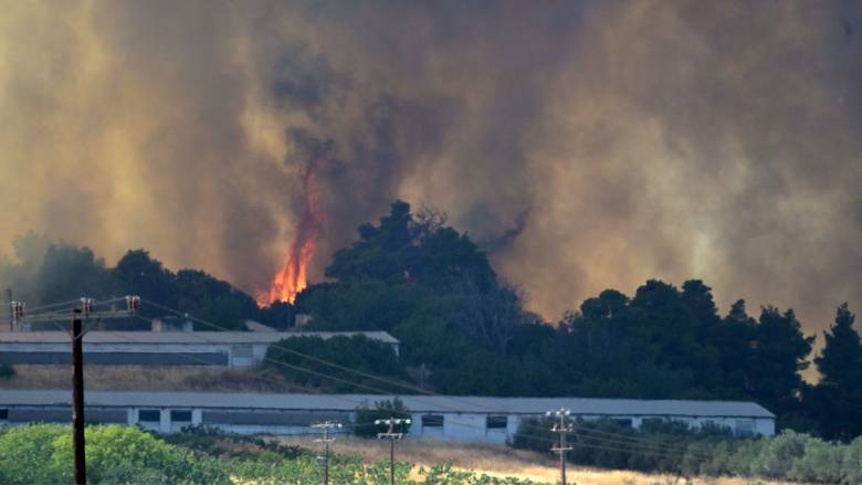 Εκτός ελέγχου η φωτιά στην Εύβοια - Εκκενώνονται οικισμοί, καίγονται πυλώνες της ΔΕΗ
