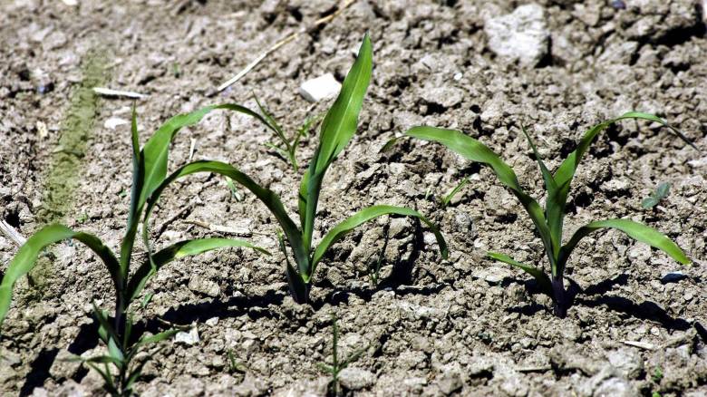 Ξηρασία ρεκόρ για τα μέσα Ιουλίου στην Ευρώπη - Μείωση των βροχοπτώσεων τις επόμενες δεκαετίες