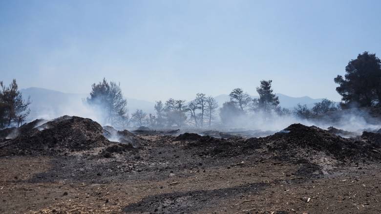 Εύβοια: Η φωτιά έκαψε ολοσχερώς και την πίστα μηχανοκίνητου αθλητισμού στη Χαλκίδα