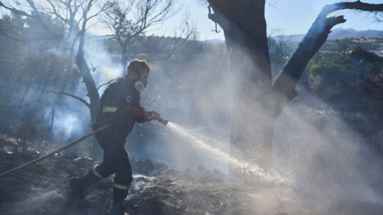 Οριοθετημένη η φωτιά στον λόφο Κουλά στις Σέρρες