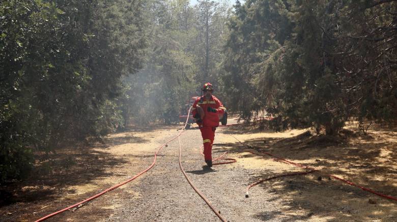 Μπουκάλι με βενζίνη είχε εντοπιστεί πριν από δύο μέρες στο σημείο της φωτιάς στον Υμηττό