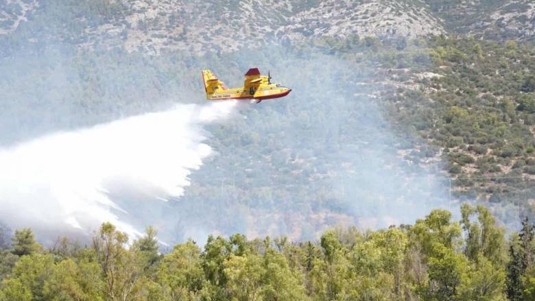 Εύβοια: Φωτιά σε δασική έκταση στους Ζάρακες - Σηκώθηκαν εναέρια μέσα