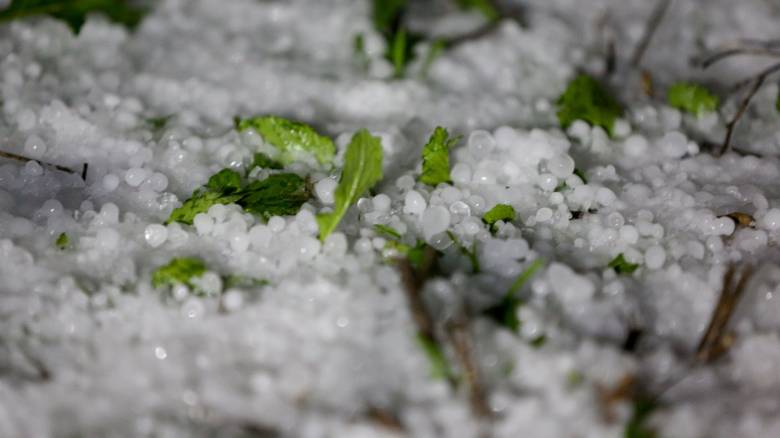 Κακοκαιρία στη Θεσσαλία: Εκτεταμένες ζημιές σε καλλιέργειες και υποδομές