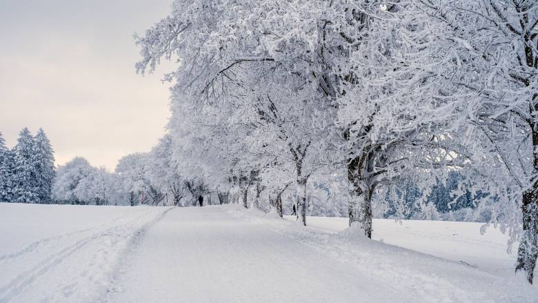 Αυστραλία: Ένα σπάνιο στρώμα χιονιού κάλυψε πόλεις της ανατολικής χώρας