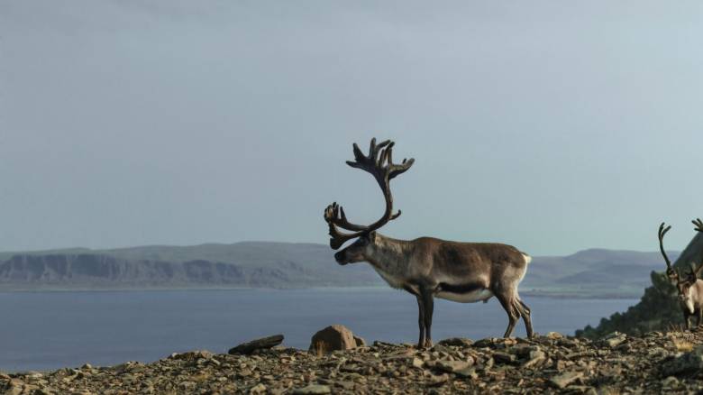 «Εφιάλτης» η υπερθέρμανση του πλανήτη: Έρχεται το τέλος των coolcations, καύσωνες και στην Αρκτική