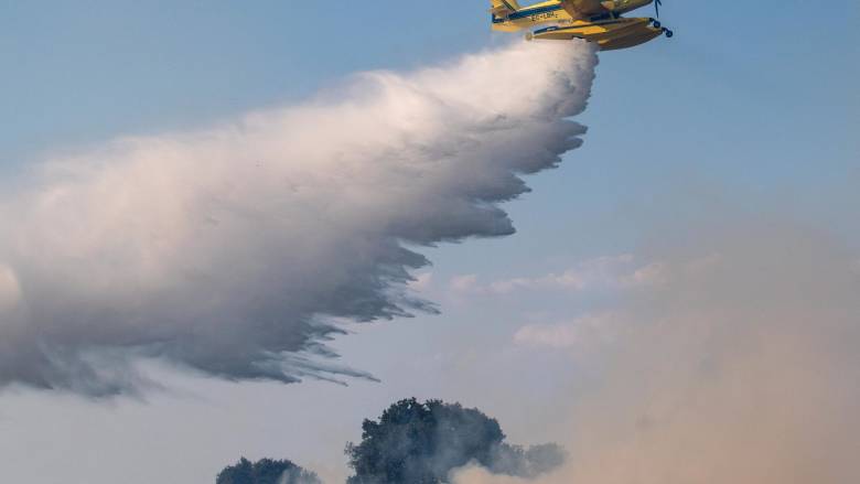 Δίωξη για εμπρησμό από αμέλεια στους τρεις συλληφθέντες για τη φωτιά στο Φίλυρο Θεσσαλονίκης