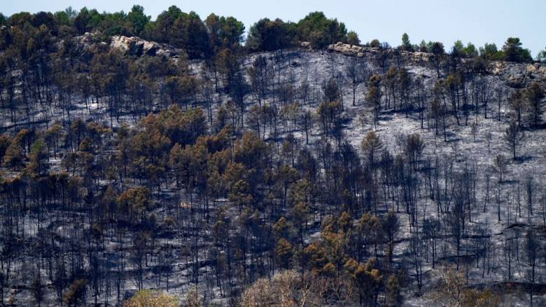 Συνεχίζεται η «μάχη» με τις φλόγες στη νότια Γαλλία - Μία νεκρή, τραυματίες και καμένα στρέμματα γης