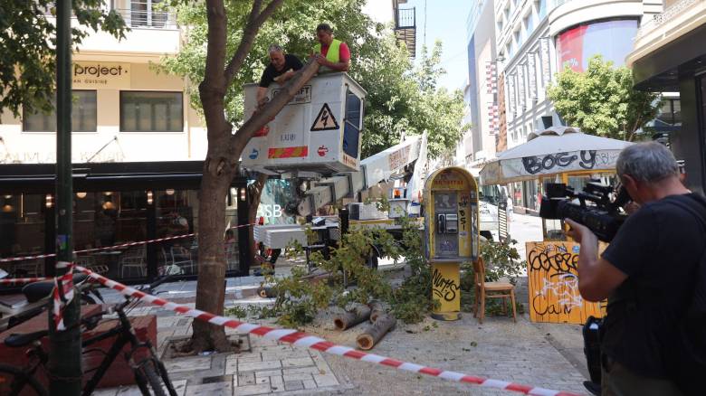 Πτώση δέντρου στην Ερμού λόγω των ισχυρών ανέμων - Έπεσε δίπλα σε πλανόδιο πωλητή