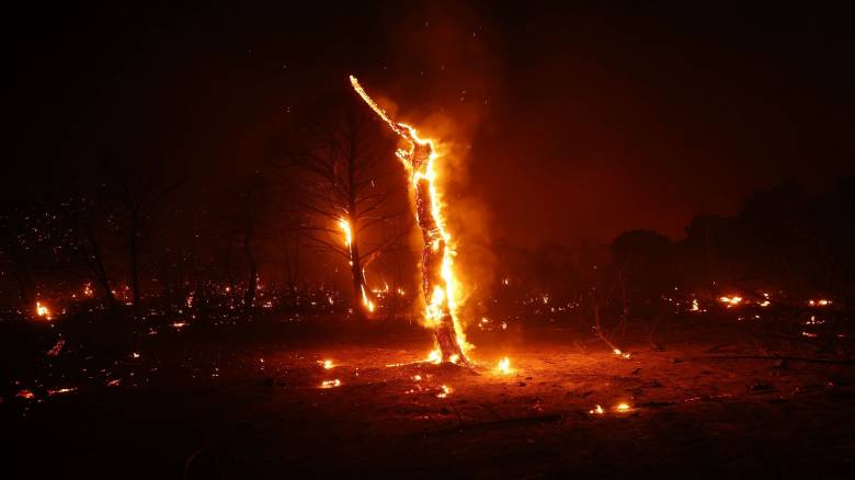 Φωτιά τώρα στον Εθνικό Δρυμό της Βάλια Κάλντα
