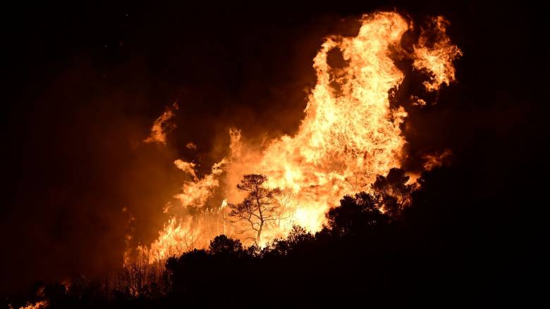 Σε 15.808 στρέμματα ανέρχεται η καμένη γη από τη φωτιά στη Λαυρεωτική - Δορυφορική λήψη