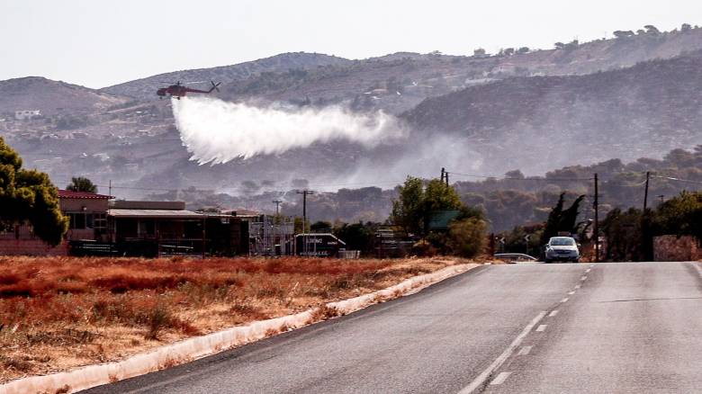 Σύλληψη για την φωτιά στα Μέγαρα -  Έκαιγε κλαδιά και φύλλα με 9 μποφόρ