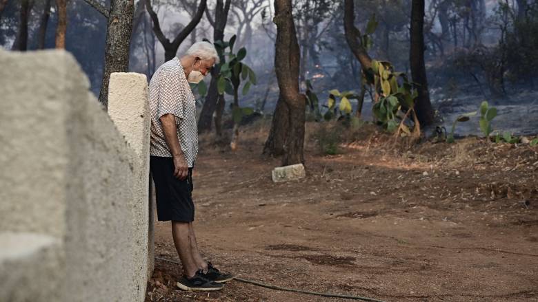 Ανατολική Αττική: Στάχτη χιλιάδες στρέμματα - Εικόνα καταστροφής αφήνει πίσω της η πυρκαγιά