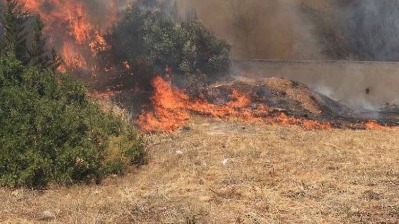 Φωτιά στην Ηλεία: Βελτιωμένη η εικόνα σε Αρχαία Ολυμπία, Χελιδόνι και Ηράκλεια
