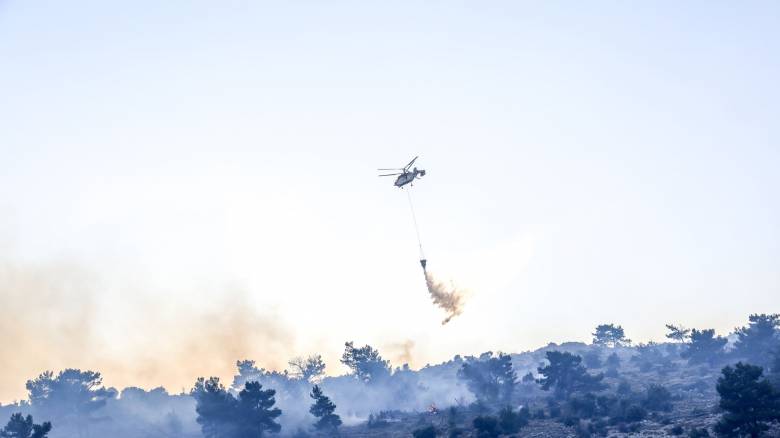 Πολύ κοντά σε σπίτια η φωτιά στην Πρέβεζα - Μάχη με τις διάσπαρτες εστίες δίνουν οι πυροσβέστες