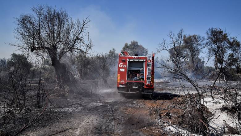 Πρέβεζα: Σε ύφεση η φωτιά στη Βρυσούλα - Οριοθετήθηκαν οι εστίες σε Καστροσυκιά και Στεφάνη