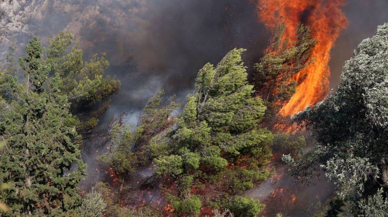 Φωτιά στην Αρχαία Νεμέα Κορινθίας: Μήνυμα εκκένωσης προς Νεμέα ή Αρχαίες Κλεωνές