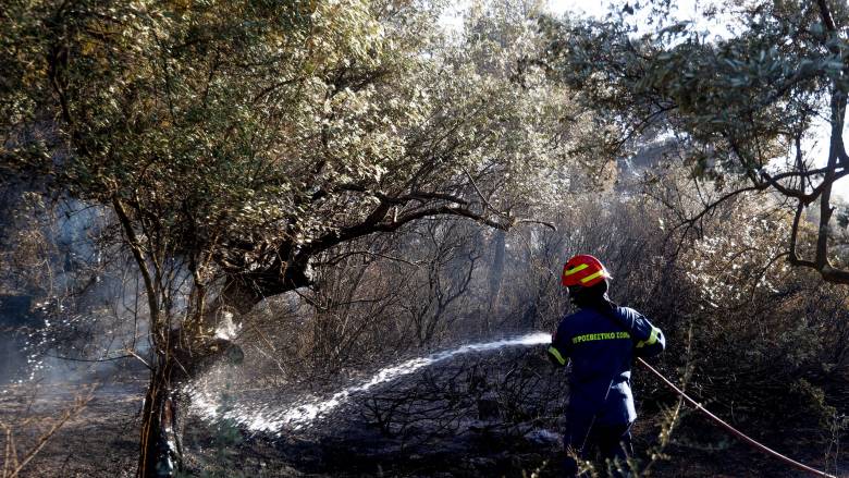 Φωτιά στη Ζάκυνθο: Μπαράζ μηνυμάτων από το 112 για εκκενώσεις - Πλησιάζουν επικίνδυνα οι φλόγες