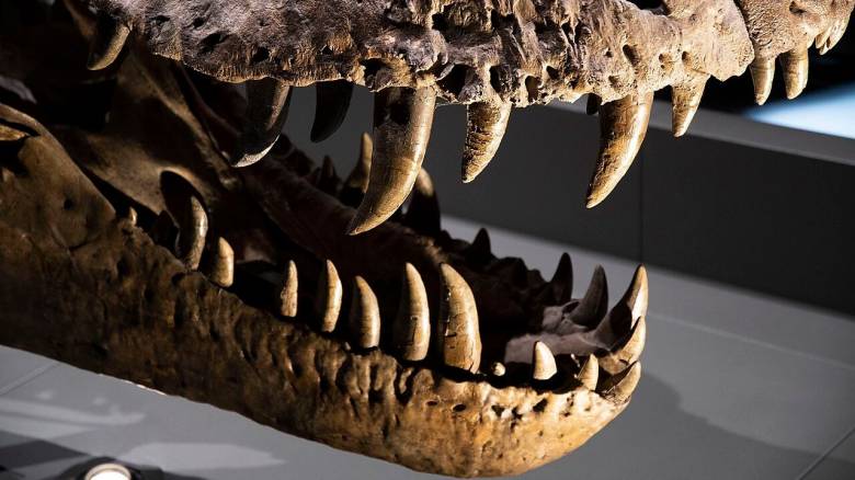 Επιστήμονες ανακατασκεύασαν τον αέρα που ανέπνεαν οι δεινόσαυροι χάρη στα… δόντια τους